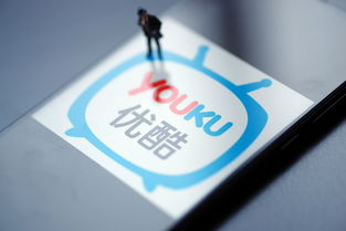 優(yōu)酷副總裁藺志強 經(jīng)驗與數(shù)據(jù)結(jié)合,生產(chǎn)內(nèi)容才能滿足用戶需求